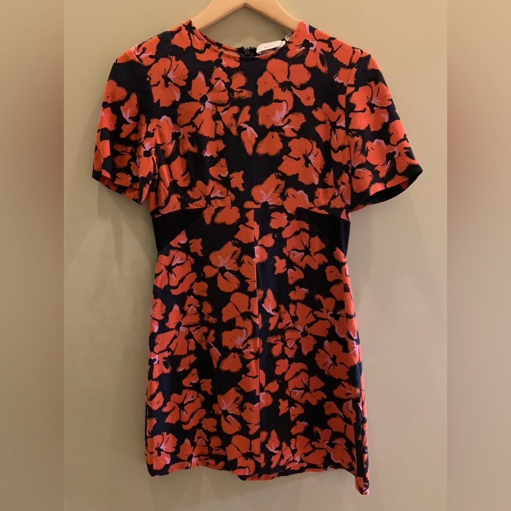 A.L.C. Silk Print Mini Dress